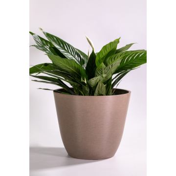 Maceta redonda alta y recta