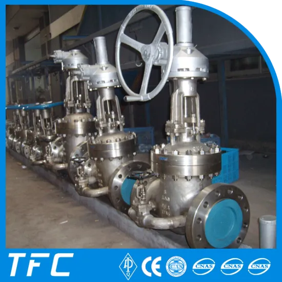 24 inch 300lb A351 Gr. CF8M stainless steel gate valve