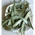 Natural Eucalyptus Leaf Extract