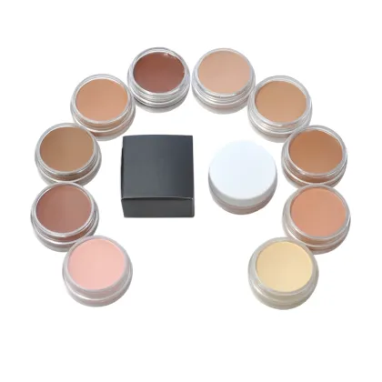 No Logo Waterproof Long Lasting Vegan Concealer Cream for Beauty