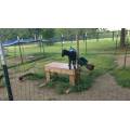 Valla de malla de alambre duradera para zoológicos y recintos de animales 160/23/15