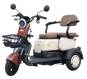 Two person tricycle