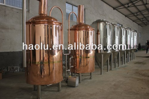 600 Liter Hot sale hotels Beer brewing equipment