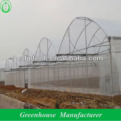 gutter connected greenhouse