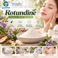 Rotundina 98%–99% Alcalóide Corydalis em pó