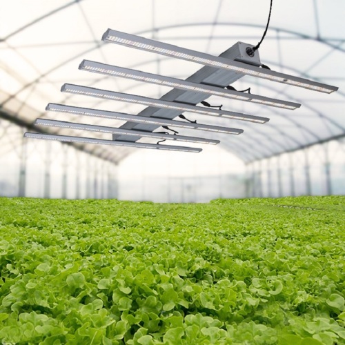 High Efficacy 640w Indoor Led Grow Lights Bar