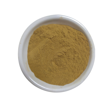 Rifornimento di fabbrica Estratto naturale di pera balsamica/estratto di melone amaro in polvere 10:1
