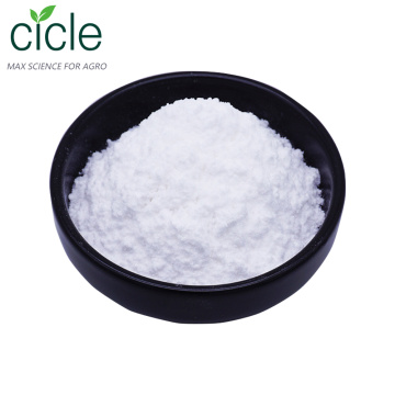 L-Arginine Arginine Powder 99%