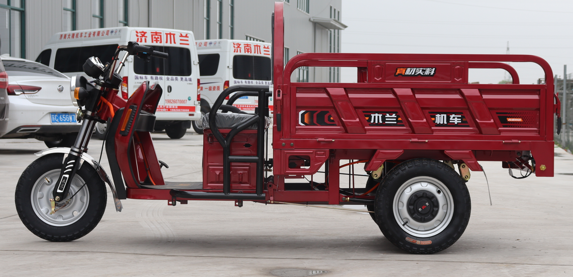 Cargo Electric Tricycle