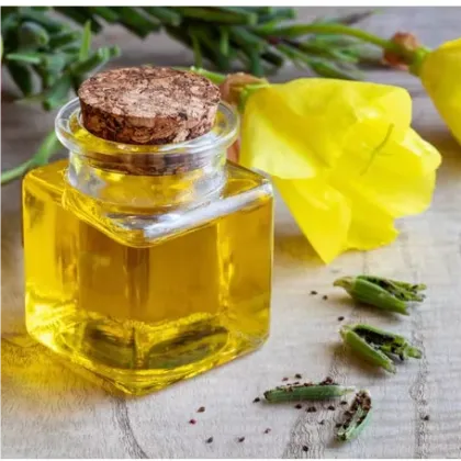 Evening Primrose Carrier Oil Pure Evening Primrose Oil