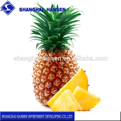 Fresh pineapple import agency china trade agent