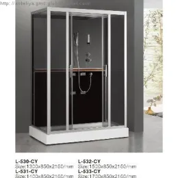 shower room wity computer panel,with sharp massage