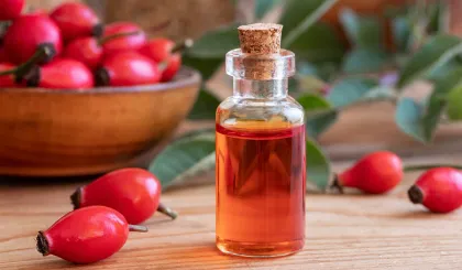 Best rosehip powder best rosehip extract powder
