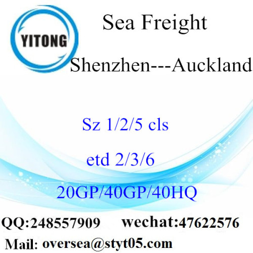 Shenzhen Port Sea Freight Shipping To Auckland