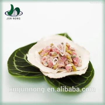 Wholesale high quality canned importers tuna thailand