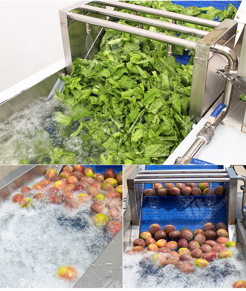 industrial vegetable washer