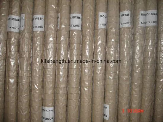 Electro Galvanized Welded Wire Mesh 3315