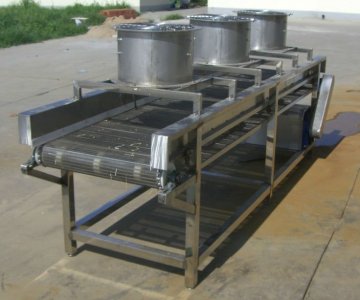 mesh belt fruit drying machine/equipment/plant machine for drying mango