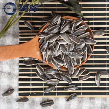 New crop bulk chinese sunflower seed with good price