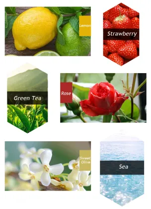 OEM Car Air Freshener