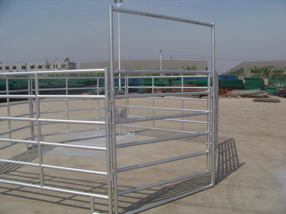 horse paddock fence horse rail galvanized panels