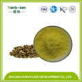 Natural Kaempferol 98％Cas No：520-18-3