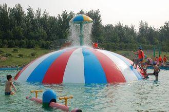 Family Play Fun Commercial Children Water Slides For Aquasp