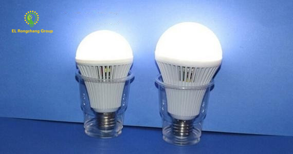 ERG Led Bulb