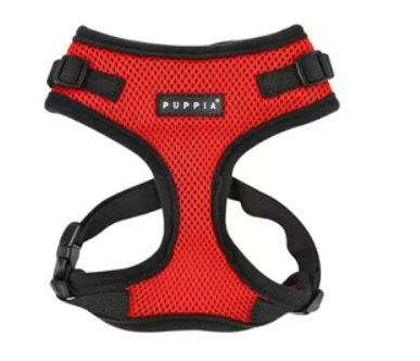 dog harness