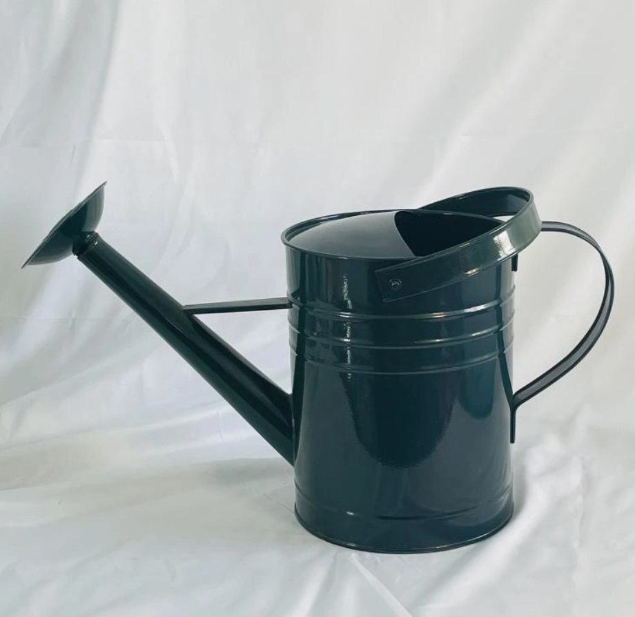 Large capacity metal custom watering can