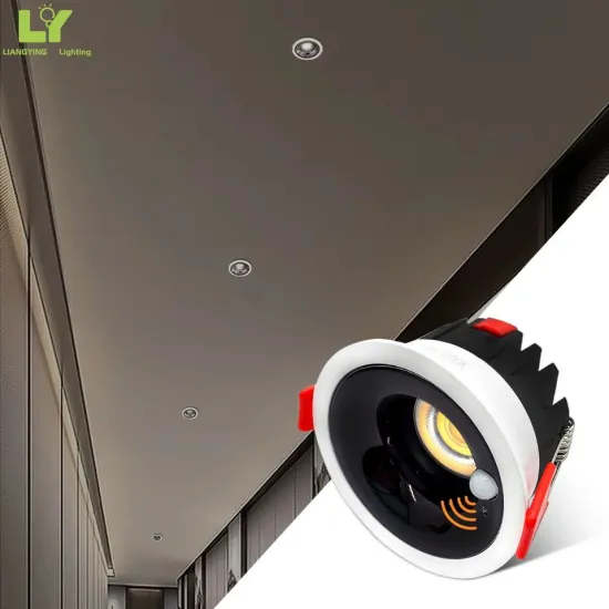 Ultra-Thin Embedded Dwarf Sky Lantern for Hotel Living Room - Commercial Indoor Round Spot Down Light