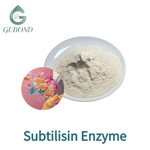 Polvo de enzima subtilisina para hidrólisis de proteínas, procesamiento de alimentos