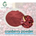 Порошок сухофруктов в виде спрея клюквы