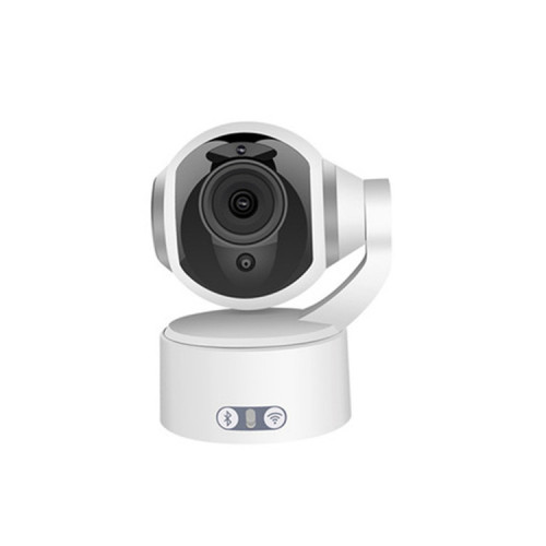 Security Wireless Network Camera with Motion Sensor