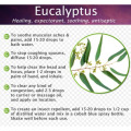 Eucalyptus inaacha mafuta safi ya eucalyptus 100%