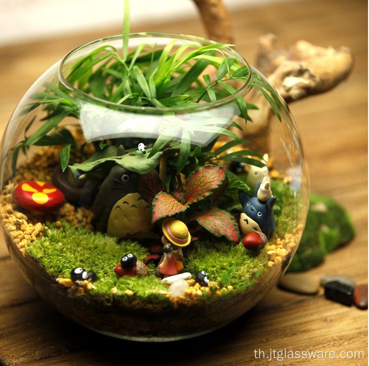 แจกันแก้วใสแบบต่างๆ Terrarium