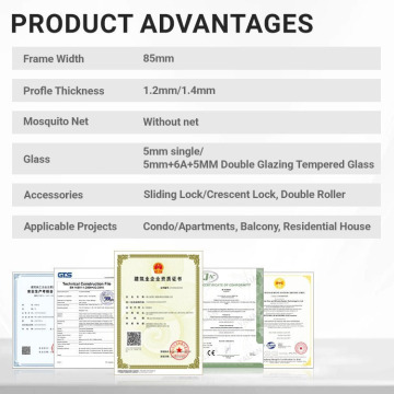 Modern Design Two-Track Aluminum Alloy Sliding Door