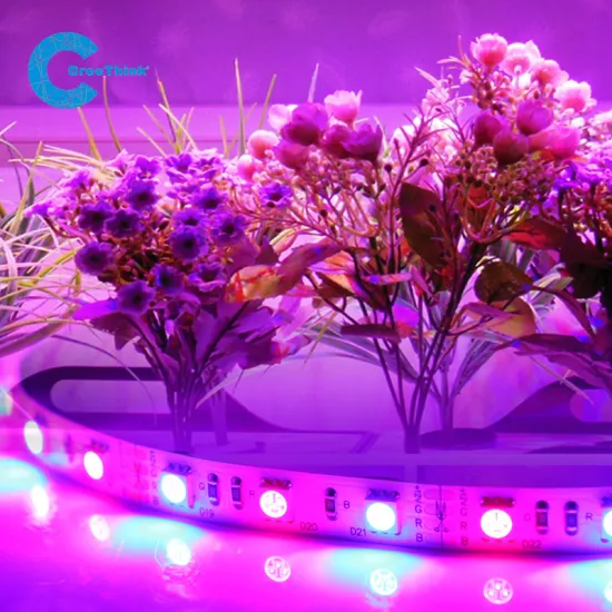 SMD 3528 LED PLant Grow Light full Spectrum