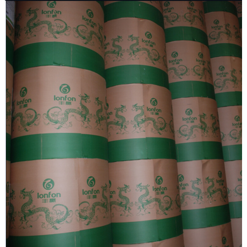 Offset Printing Paper Roll & Sheet