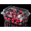 Erdbeer-Kunststoffverpackungsbox im Supermarkt