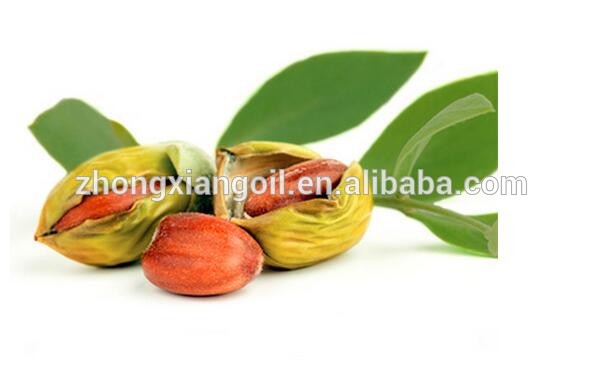 Factory price wholesale jojoba oil