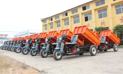 Mining Tricycle Truck Mini Dump Truck Accessories 3000w
