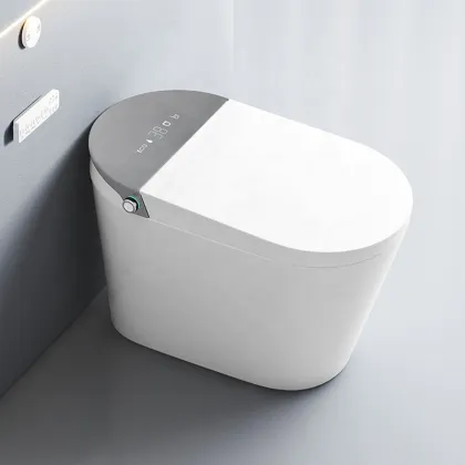 Intelligent Toilet: Advanced Features like Automatic Induction Flush, Integrated Sterilization, and Siphon Technology
