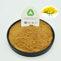 Acacia Rigidula Extract Natuurlijk Radix 10:1 Organisch Poeder