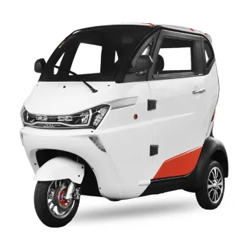 New Arrival 1500W/3000W Lithium Closed Cabin Mini Electric Trike