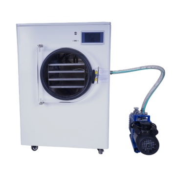 Tabletop Vegetable Freeze Dryer: Lyophilizer for Home Food Drying