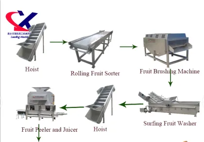Automatic Dragon Fruit Puree Processing Machine