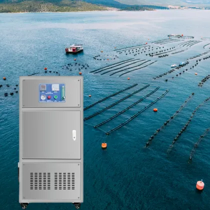 Chinese Factory PSA Oxygen Generator for RSA System Aquaculture Farming