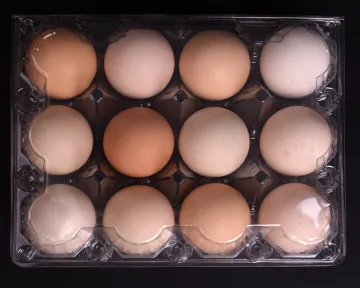 6 Holes PET Plastic Egg Tray