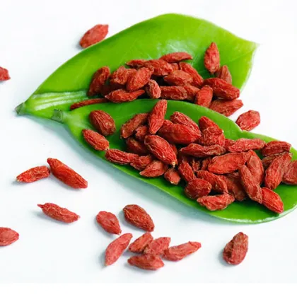 2017 Fresh Feral Organic Goji Berries